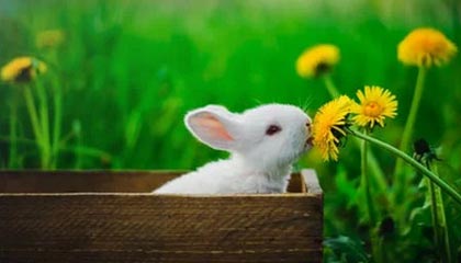 咋了?马卡报:梅西等人在球员通道与委内瑞拉球员发生口角